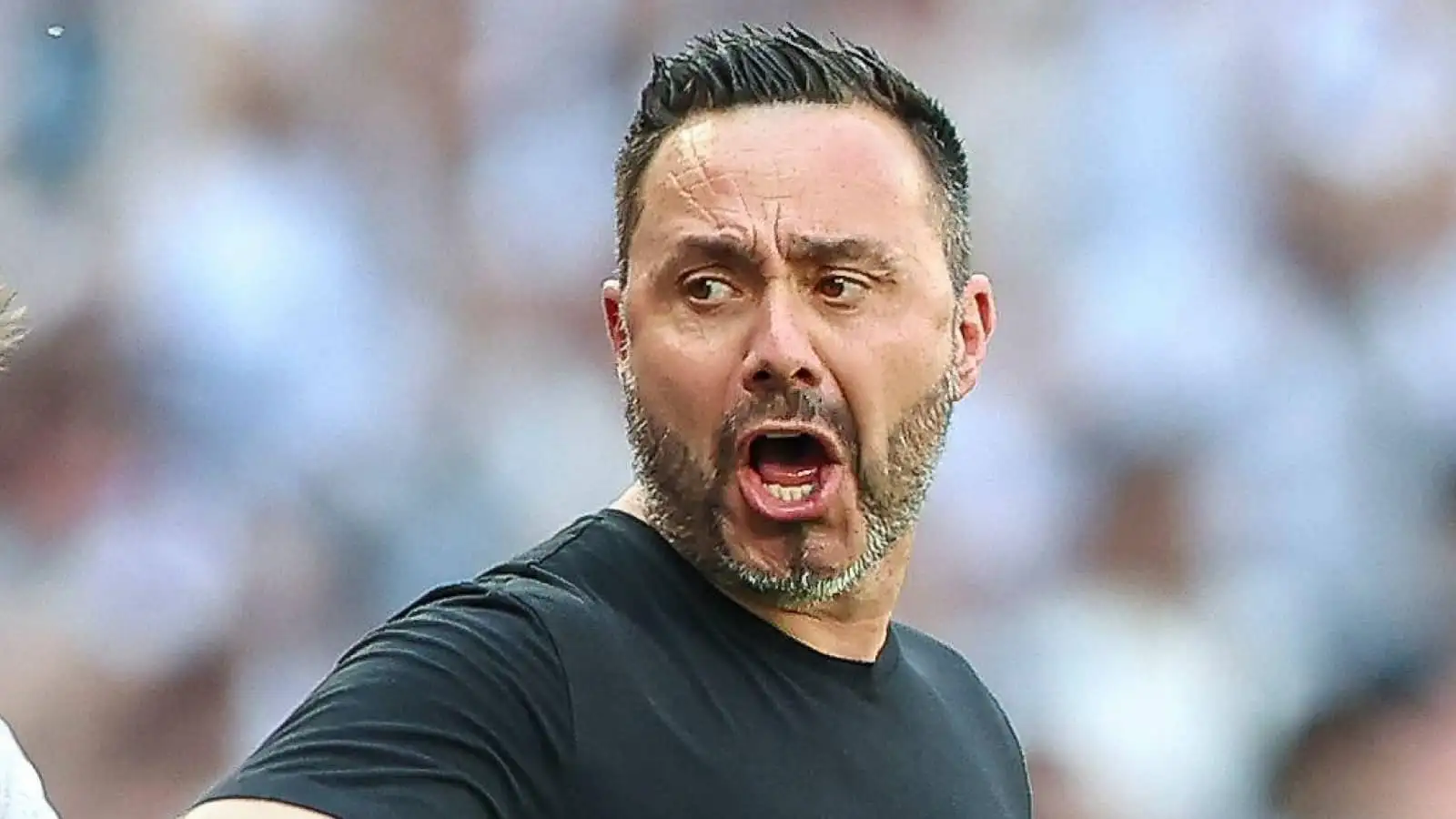 Spurs in 'Good Chance' to Sign Palhinha Permanently - Premier League