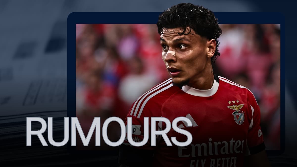 Manchester United face Napoli and Fulham in battle for Benfica's Richard Rios