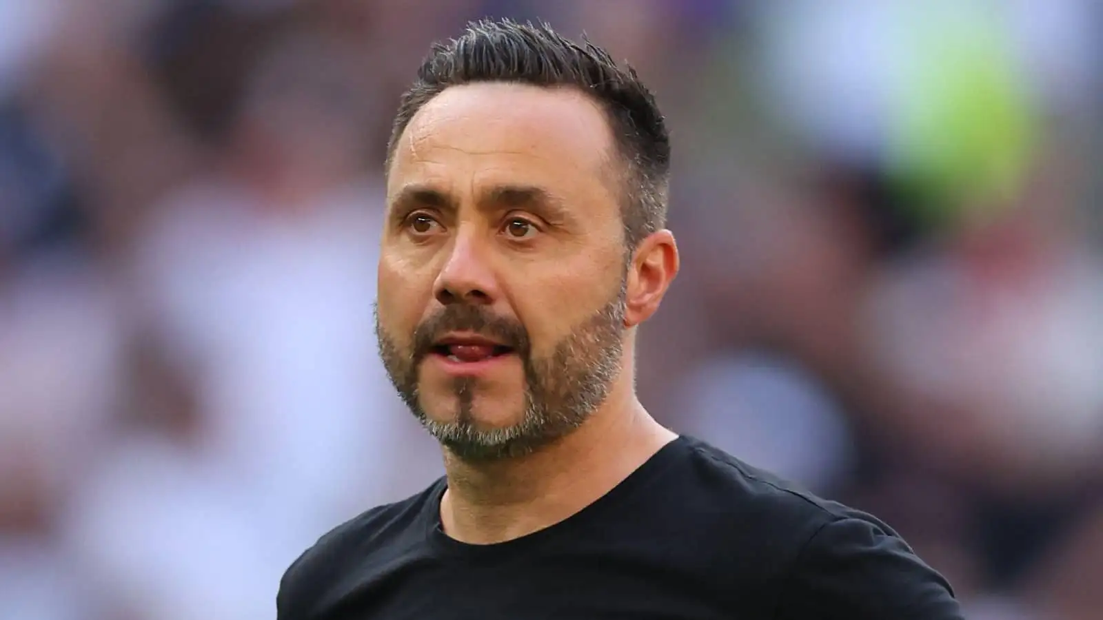 Palhinha Agrees Return to Sporting CP, Threatening Spurs Deal - Other