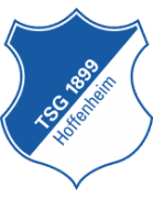 Salzburg Agree Fee for Hoffenheim Striker Tabaković